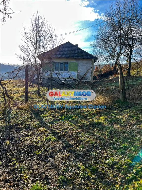 2 Case plus 12600 mp teren in localitatea Jibou din Salaj - foto 5