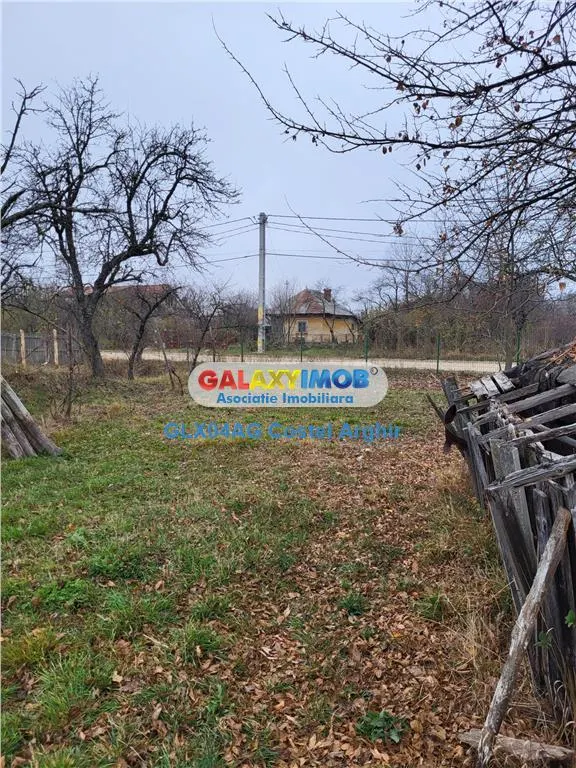 Teren intravilan 4770 mp cu casa in Lintesti , Arges - foto 11