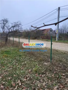 Teren intravilan 4770 mp cu casa in Lintesti , Arges - foto 3