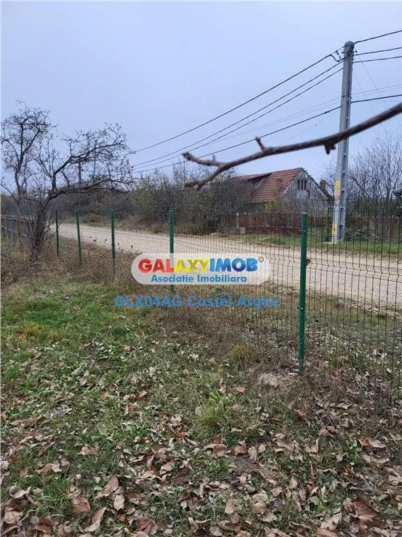 Teren intravilan 4770 mp cu casa in Lintesti , Arges - foto 3
