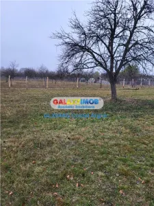 Teren intravilan 4770 mp cu casa in Lintesti , Arges - foto 5
