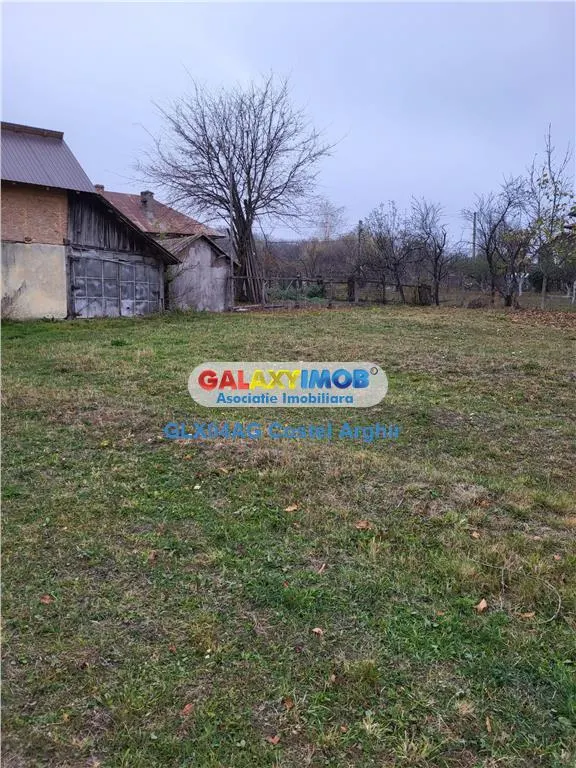 Teren intravilan 4770 mp cu casa in Lintesti , Arges - foto 7