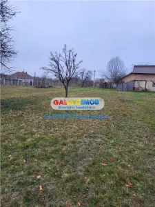 Teren intravilan 4770 mp cu casa in Lintesti , Arges - foto 8