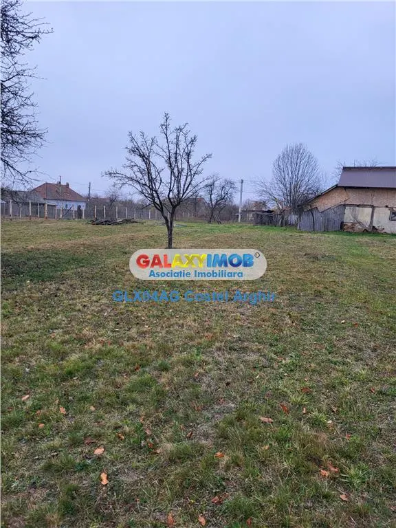 Teren intravilan 4770 mp cu casa in Lintesti , Arges - foto 8