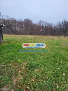 Teren intravilan 4770 mp cu casa in Lintesti , Arges - foto 9