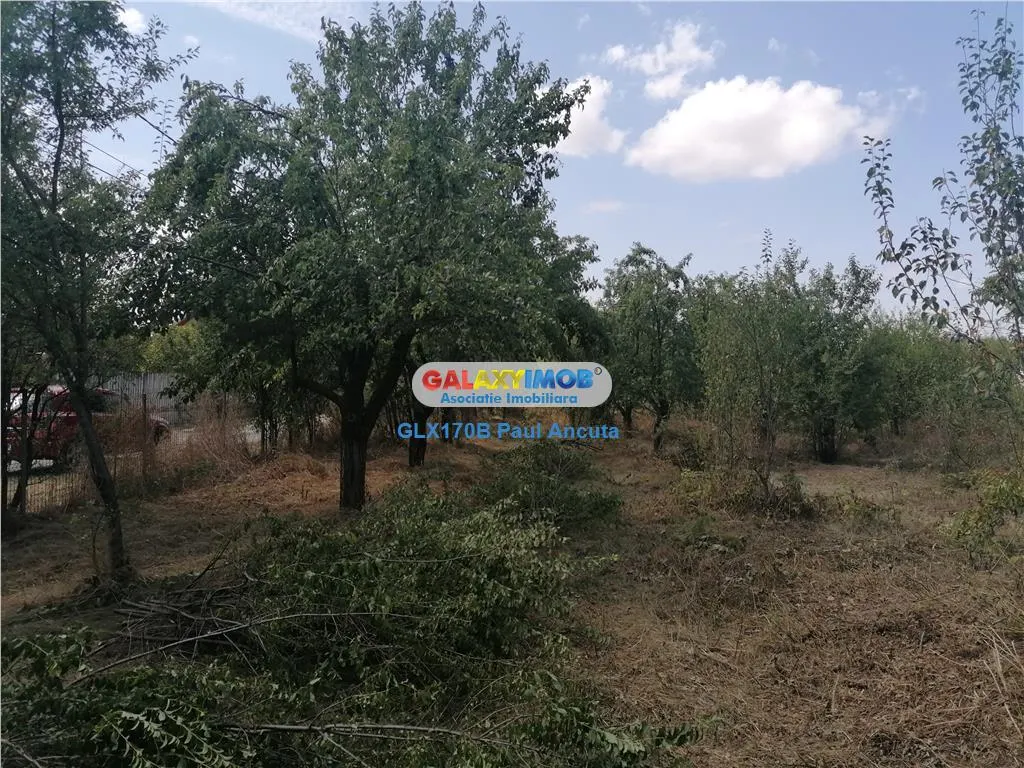 Teren lot casa  Balotesti Saftica str Ciocarlia 576 mp intre vile - foto 4