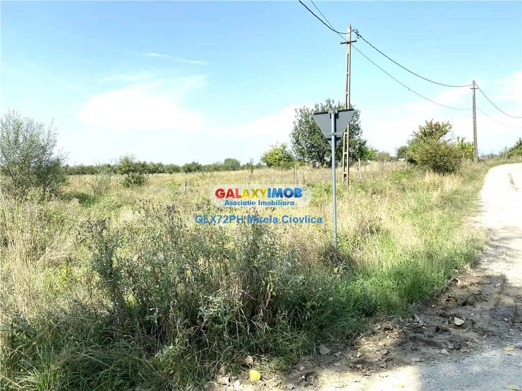 Vanzare teren intravilan Baicoi - foto 1