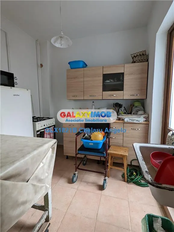 Nerva Traian, 1 apartament si 2 gars. in vila, SU 133 mp, teren 156 mp - foto 4