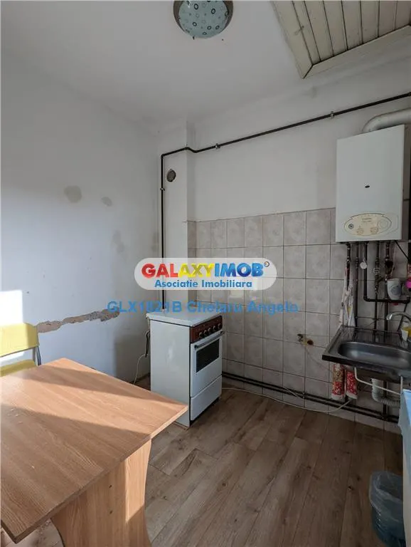 Nerva Traian, 1 apartament si 2 gars. in vila, SU 133 mp, teren 156 mp - foto 5