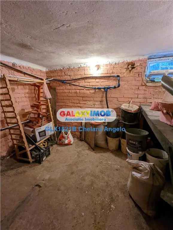 Nerva Traian, 1 apartament si 2 gars. in vila, SU 133 mp, teren 156 mp - foto 10