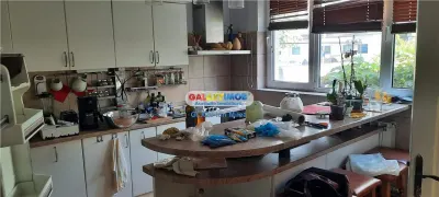 Inchiriere vila 7 camere Piata Alba Iulia - foto 4