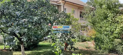Inchiriere vila 7 camere Piata Alba Iulia - foto 7