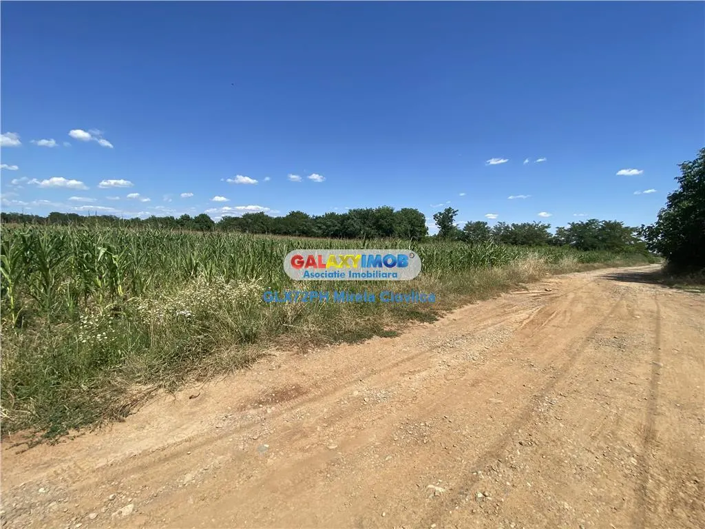 Vanzare teren Intravilan Baicoi Prahova Central - foto 4