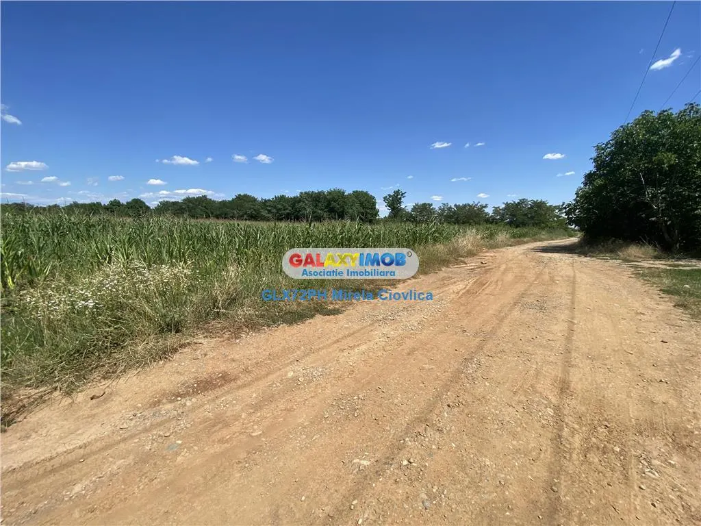Vanzare teren Intravilan Baicoi Prahova Central - foto 5