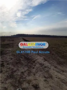 Teren Buftea 16200 mp Padure cu curent,apa,canal - foto 3