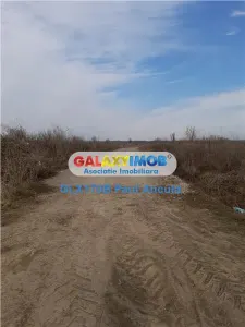 Teren Buftea 16200 mp Padure cu curent,apa,canal - foto 4
