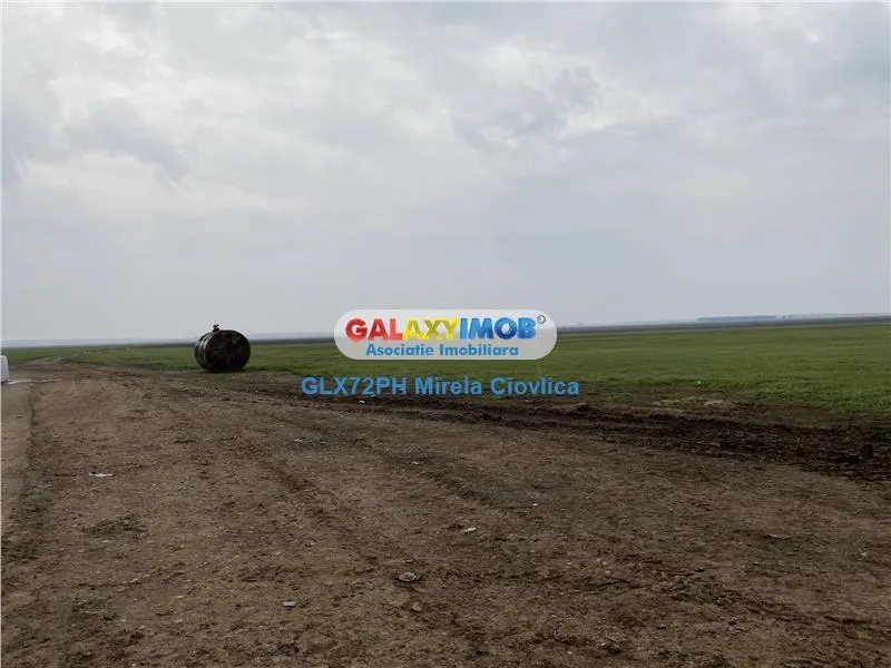 Vanzare teren intravilan Baicoi Prahova, zona industriala - foto 4