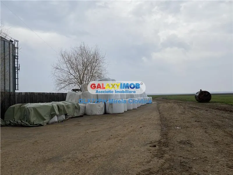Vanzare teren intravilan Baicoi Prahova, zona industriala - foto 5