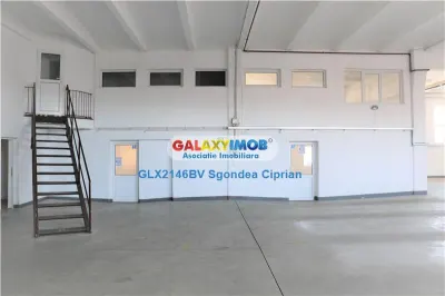 Hala industriala spatiu depozitare 420 mp si birou 145 mp - foto 3