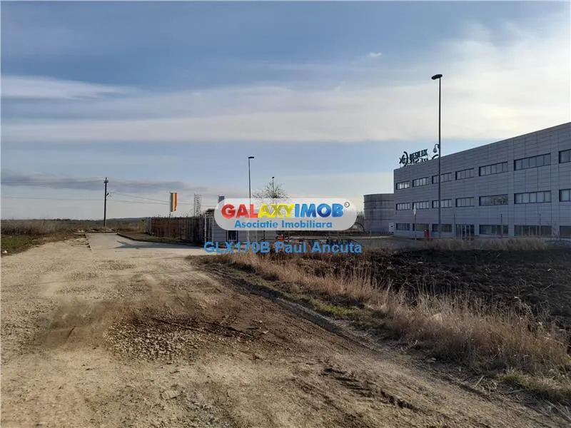 Teren Dascalu Gagu 27000 mp Industrial Depozitare - foto 1