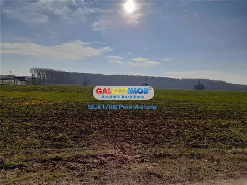 Teren latura Padure Snagov Ciofliceni 10000 mp utilitati - foto 1