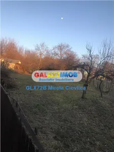 Vanzare teren intravilan Oras Baicoi-Tintea - foto 2
