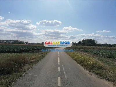 Teren Gruiu Nuci  15300 mp la sosea langa sat - Gruiu