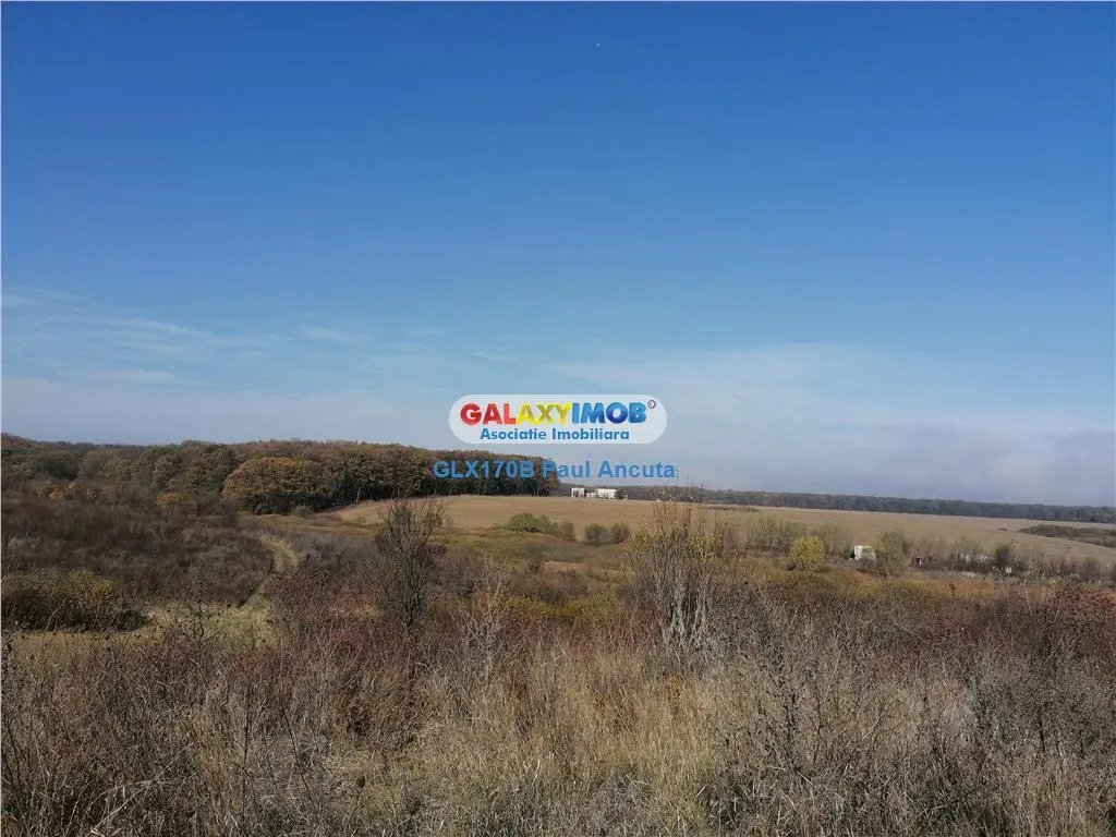 Teren Snagov Ghermanesti  latura mare  lac si padure 70000 - foto 1