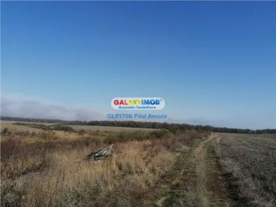 Teren Snagov Ghermanesti  latura mare  lac si padure 70000 - foto 2