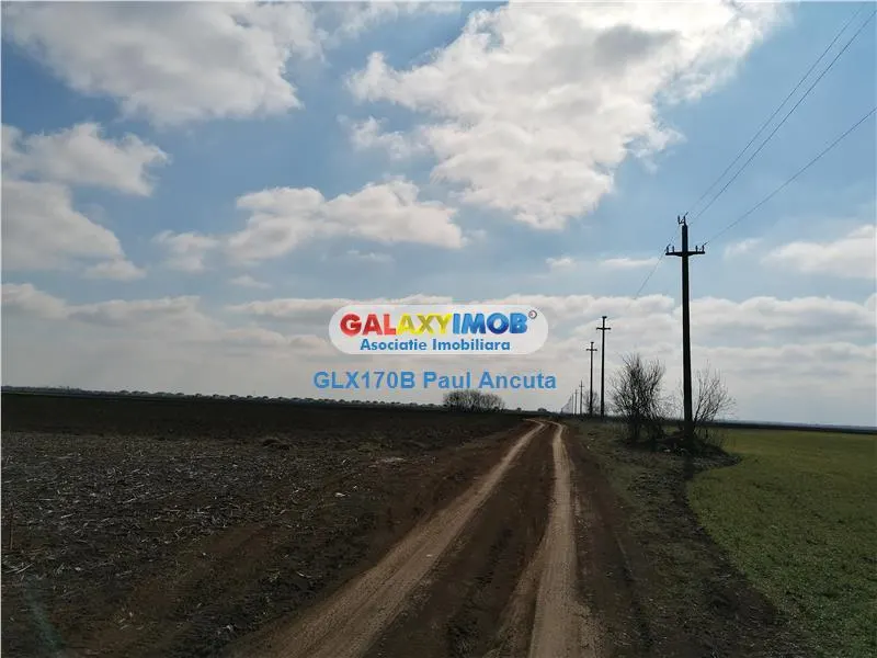 Teren Balotesti str Fabricii 28800 mp  canalizare - foto 1
