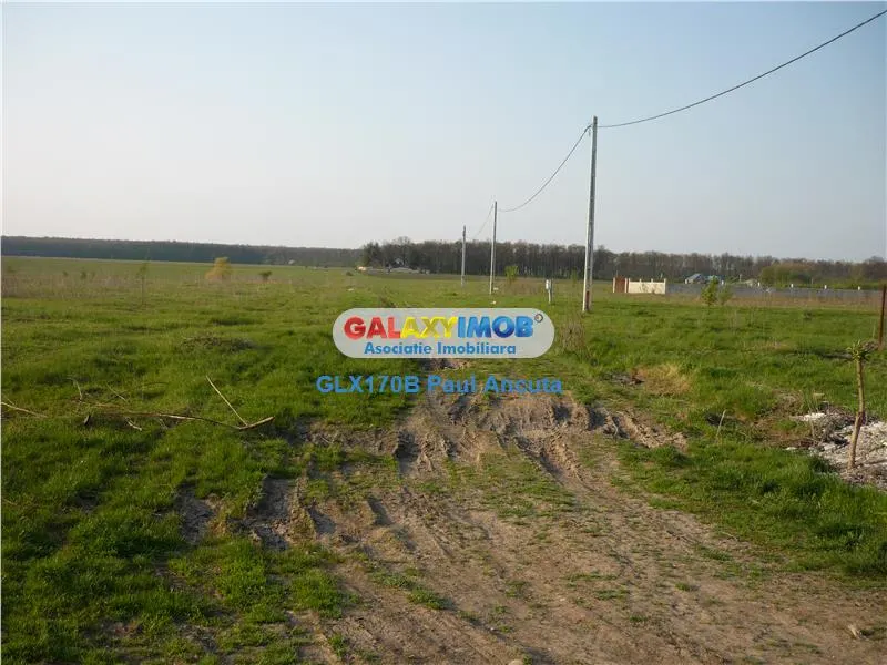 Teren Balotesti  Lac  1 Ha vedere padure - foto 2
