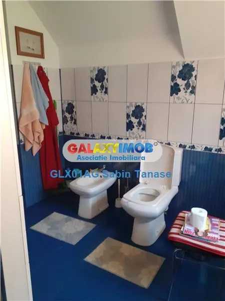 de vanzare vila D+P+E BUDEASA  MICA la liziera padurii teren 2000 mp - foto 10
