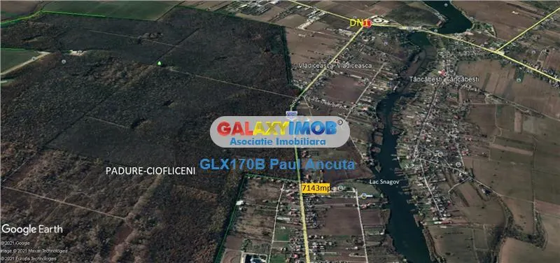 Teren Ciofliceni Snagov  lac si drum judetean 7143 mp - foto 2