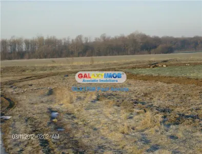 Teren  Moara Vlasie 14 Ha  Nod Autostrada A3 vedere Padure - foto 3