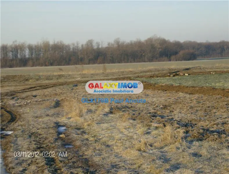 Teren  Moara Vlasie 14 Ha  Nod Autostrada A3 vedere Padure - foto 3