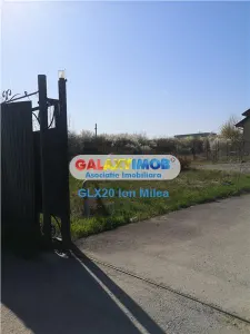 Vanzare teren 654 mp Mogosoaia Livezilor dubla deschidere - foto 2