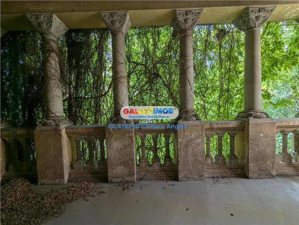 Cismigiu, vila neoromaneasca, suprafata construita 3000 mp, teren 1760 - foto 5