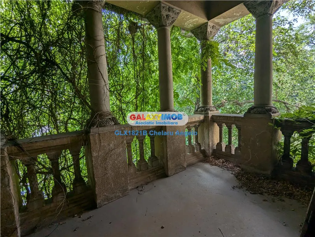 Cismigiu, vila neoromaneasca, suprafata construita 3000 mp, teren 1760 - foto 8