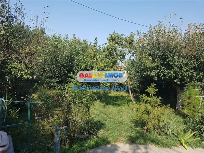 Bolintin Deal- Tantava, casa P+1 si teren 1500mp - foto 3