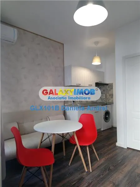 INCHIRIERE IN VILA GARSONIERA SAU 2 CAMERE ZONA EMINESCU POLONA - foto 13