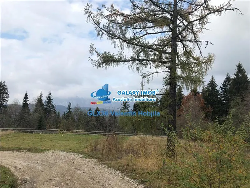 Vanzare teren 850 mp Predeal Cioplea - Belvedere - foto 2