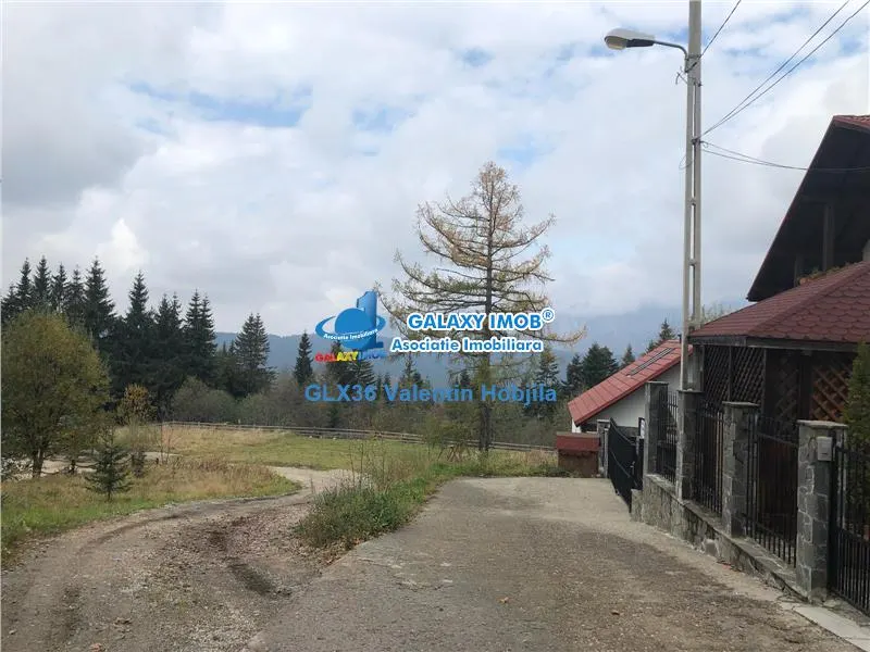 Vanzare teren 850 mp Predeal Cioplea - Belvedere - foto 3