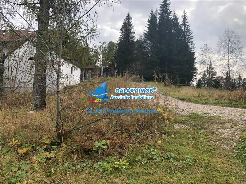 Vanzare teren 850 mp Predeal Cioplea - Belvedere - foto 5