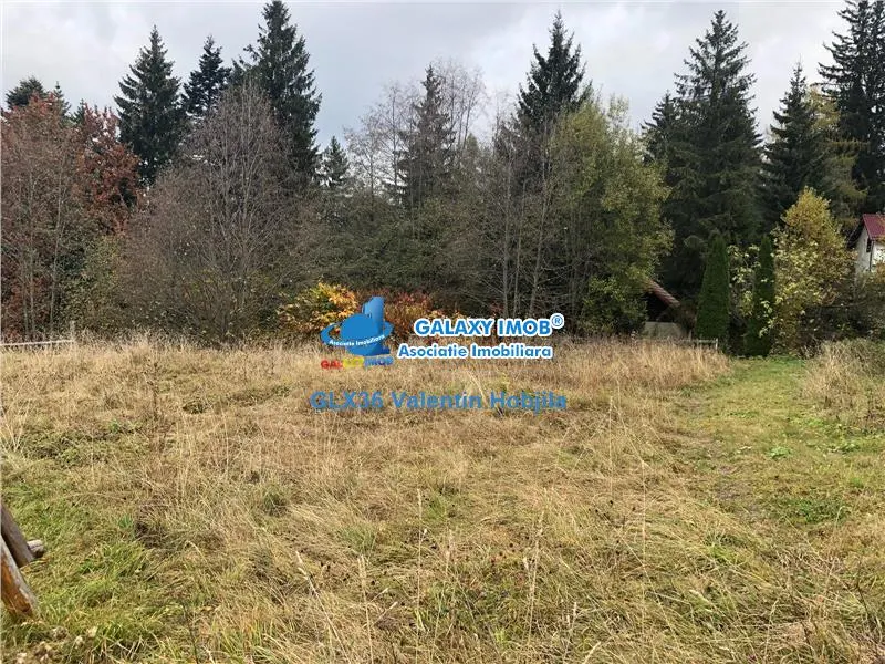 Vanzare teren 850 mp Predeal Cioplea - Belvedere - foto 6