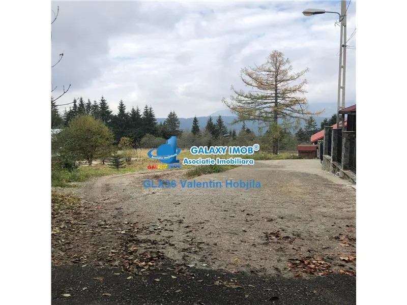 Vanzare teren 850 mp Predeal Cioplea - Belvedere - foto 7
