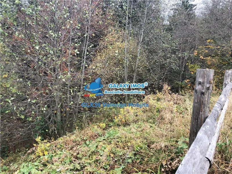 Vanzare teren 850 mp Predeal Cioplea - Belvedere - foto 8