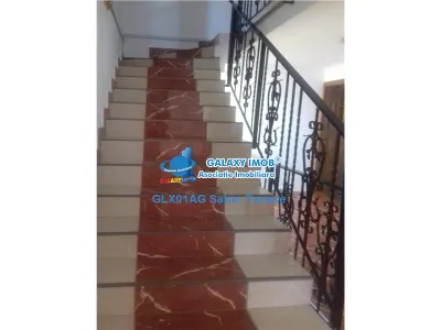 De inchiriat vila de lux cu 8 camere / diverse activitati/3 nivele - foto 3