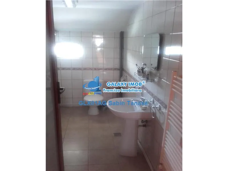 De inchiriat vila de lux Maracineni - foto 12