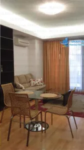 DE INCHIRIAT APARTAMENT 2 CAMERE LUX+GARAJ,BOXA,ZONA AVIATIEI (NORD) - foto 3