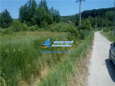 de vanzare terenintravilan 2000mp Dedulesti Arges - Bascov